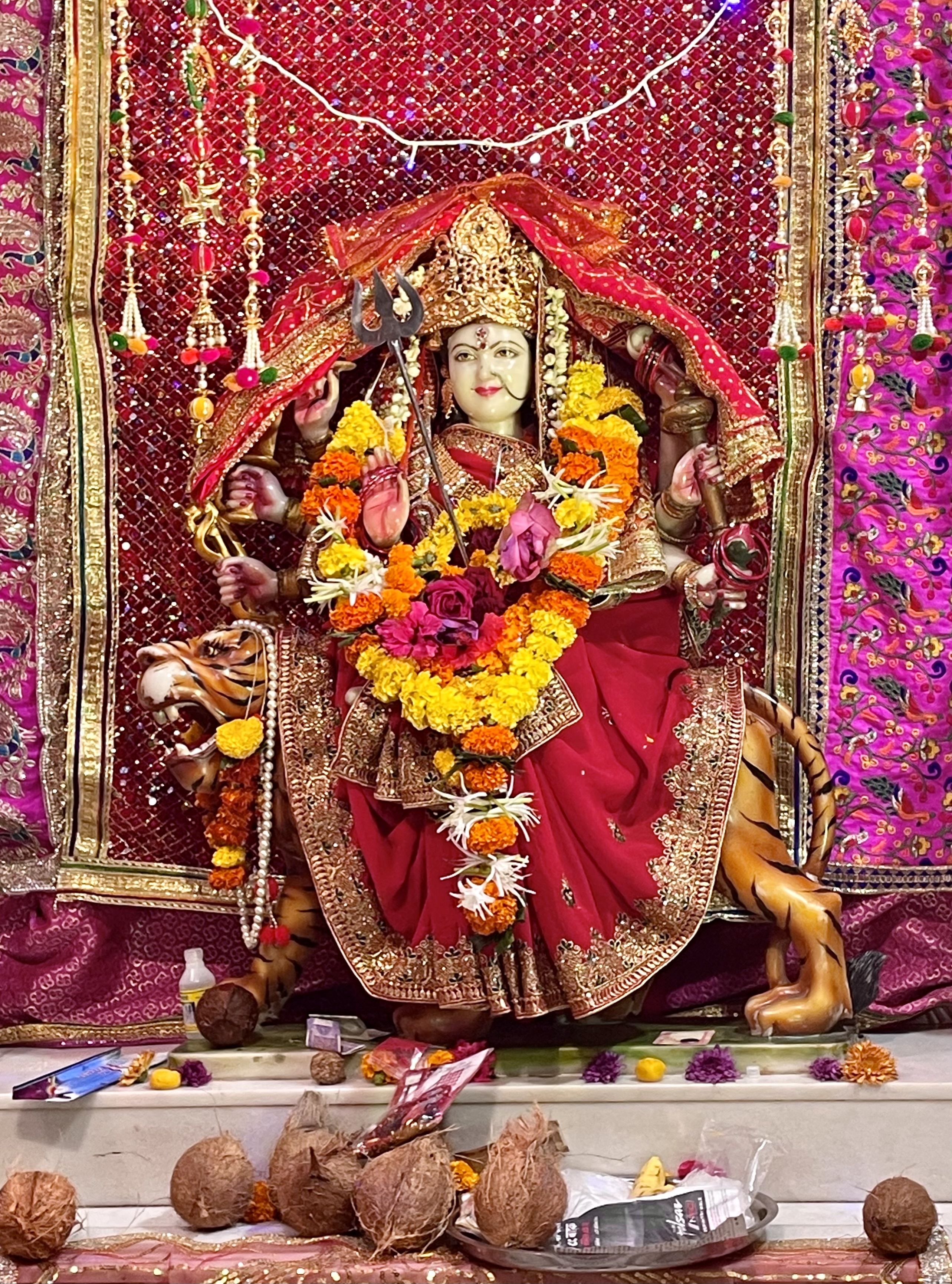 Ambe Maa seated on a lion.