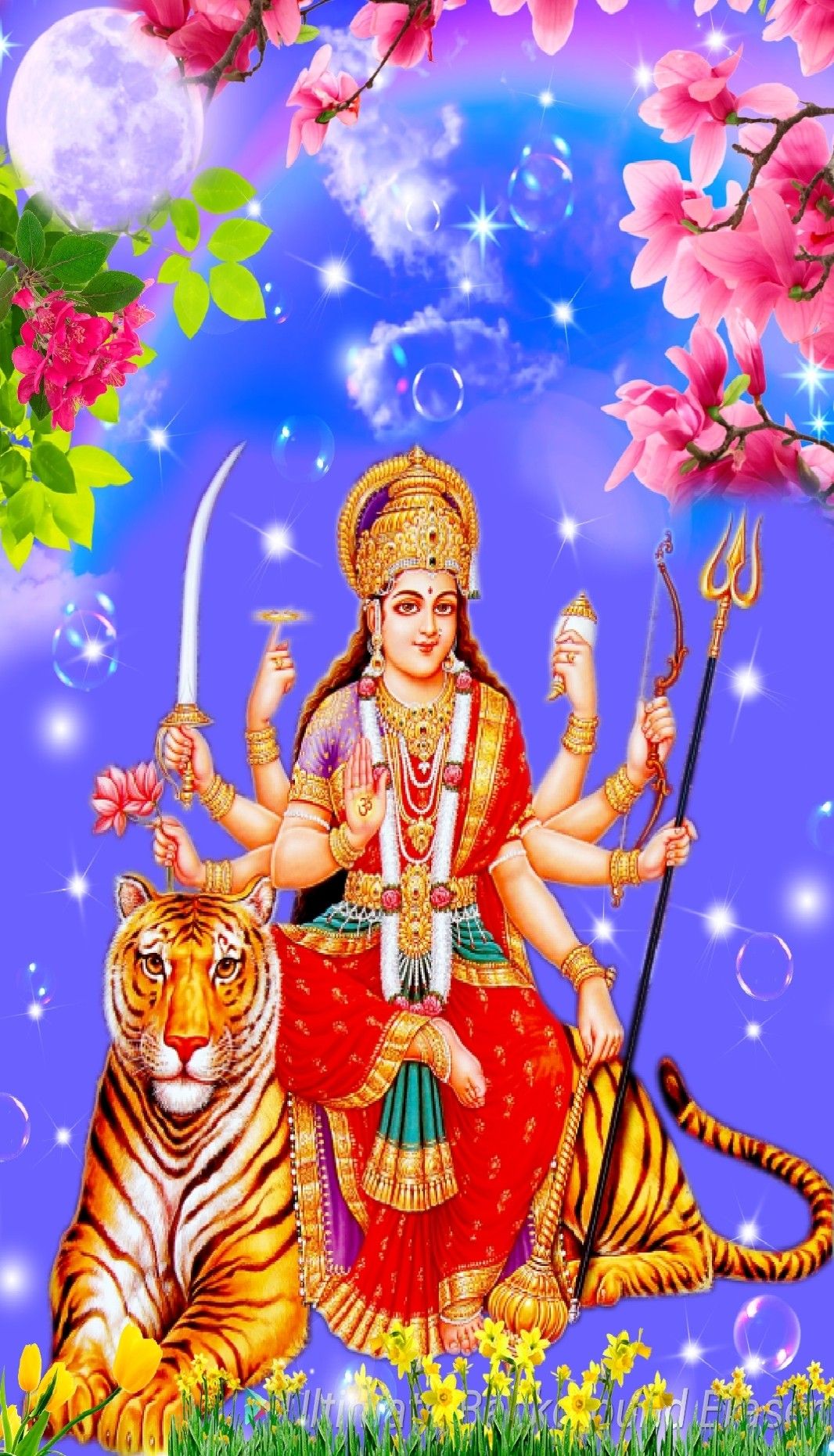 Ambe Maa riding a tiger, divine image