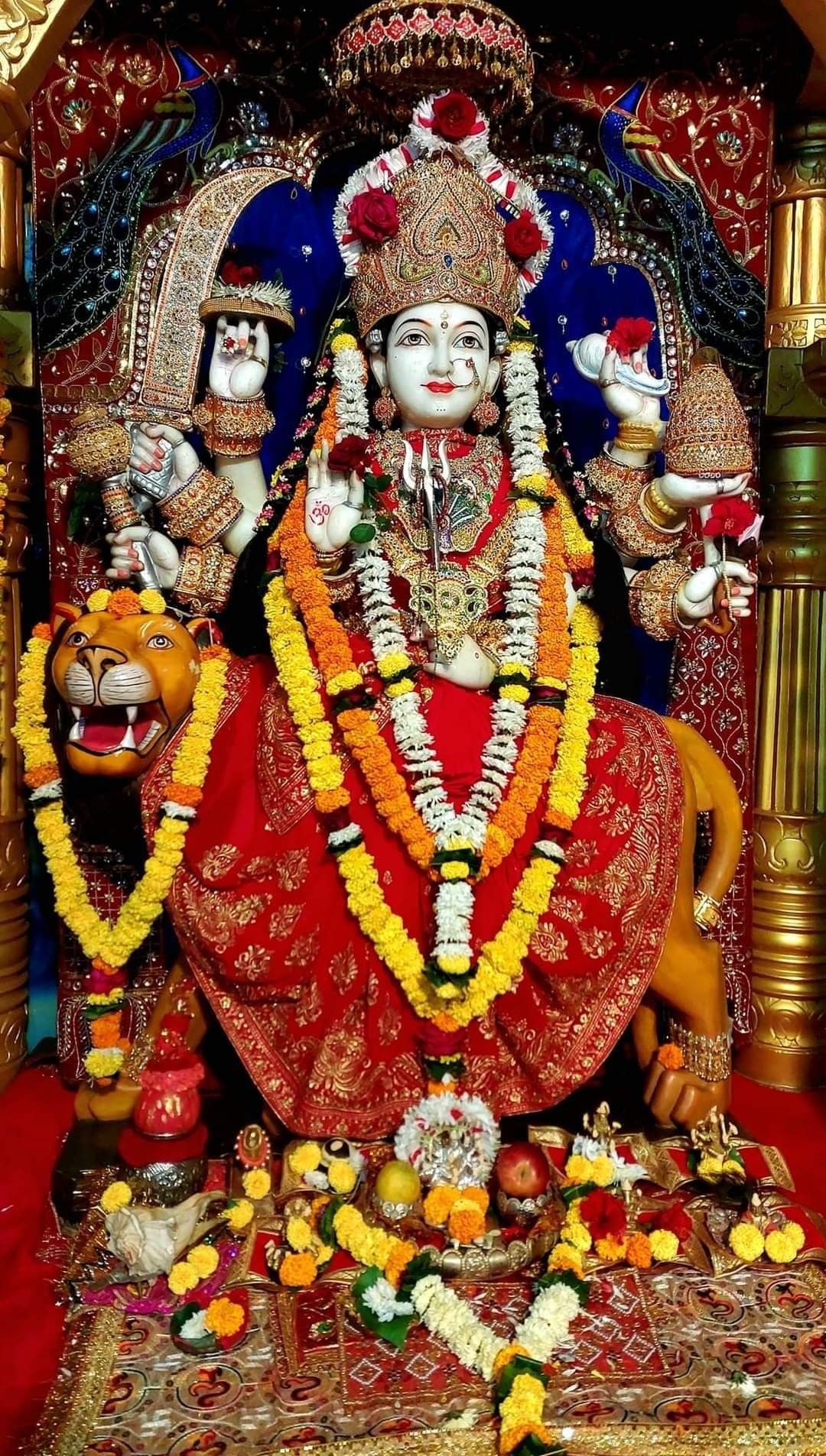 Ambe Maa seated on a lion