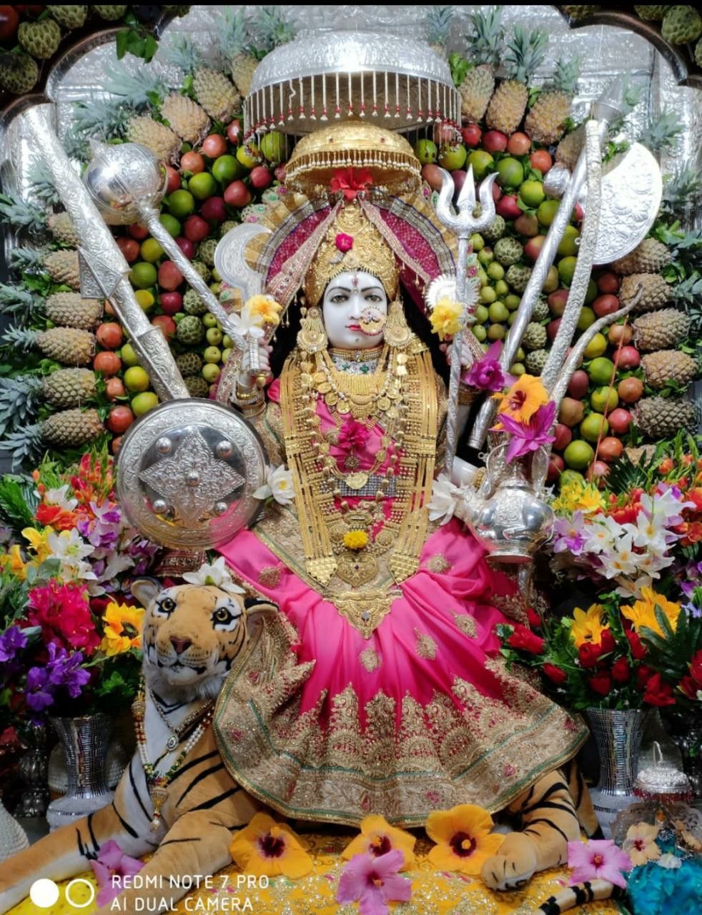 Ambe Maa with fruits and tiger