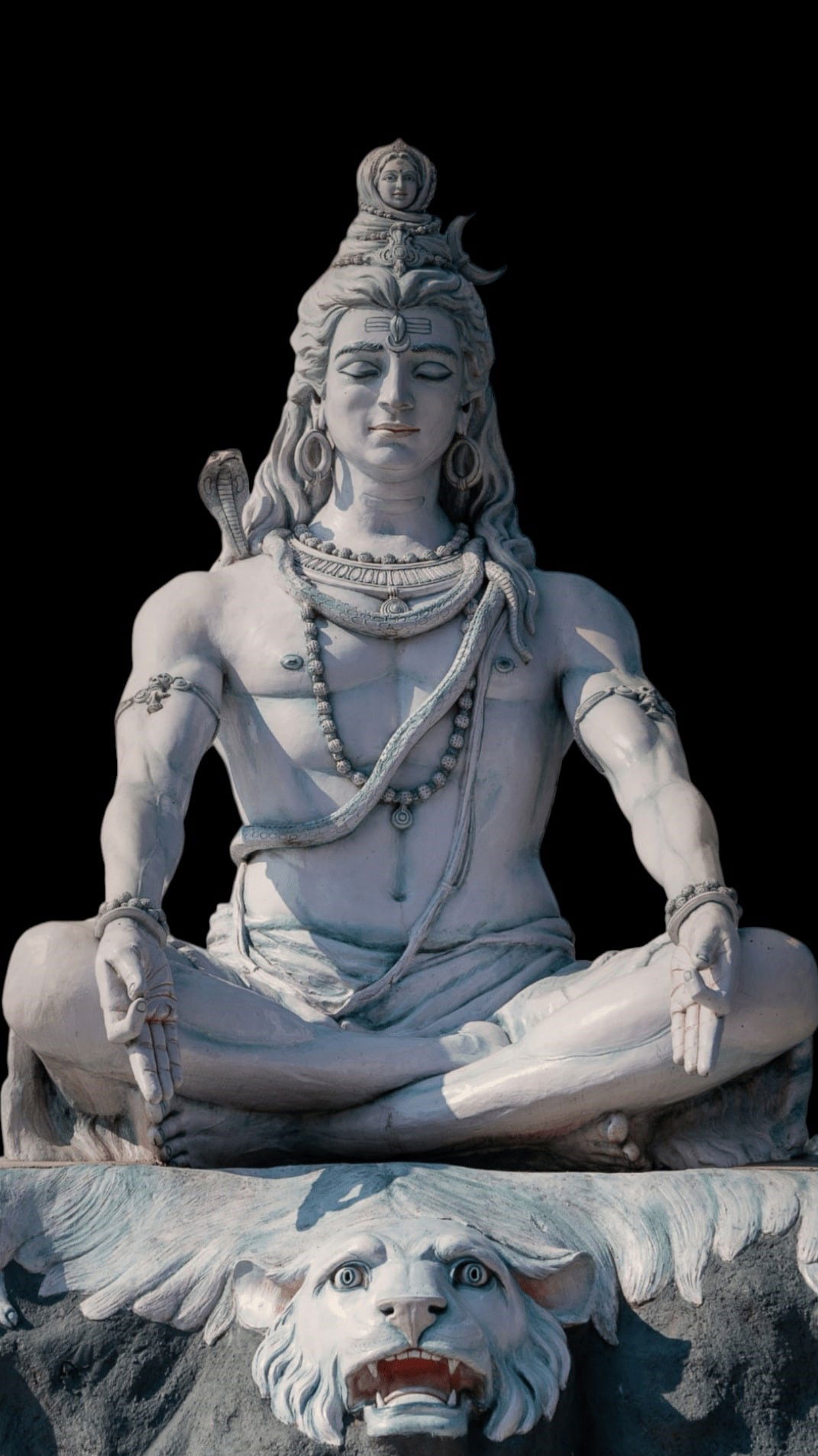 Meditating Lord Shiva with serpent and lion