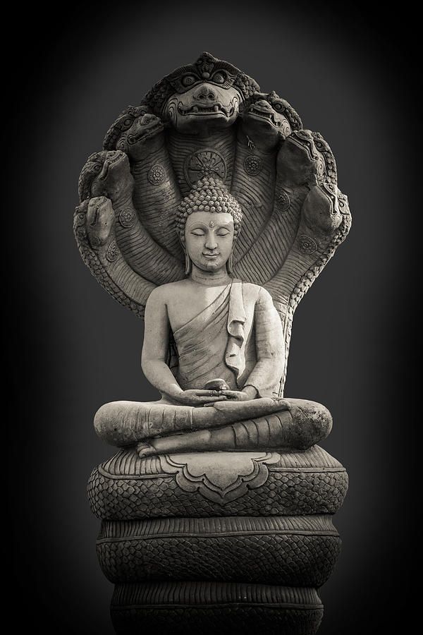 Buddha meditating under Naga serpent hood