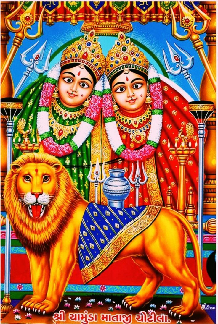 Chamunda Maa with lion and trishul