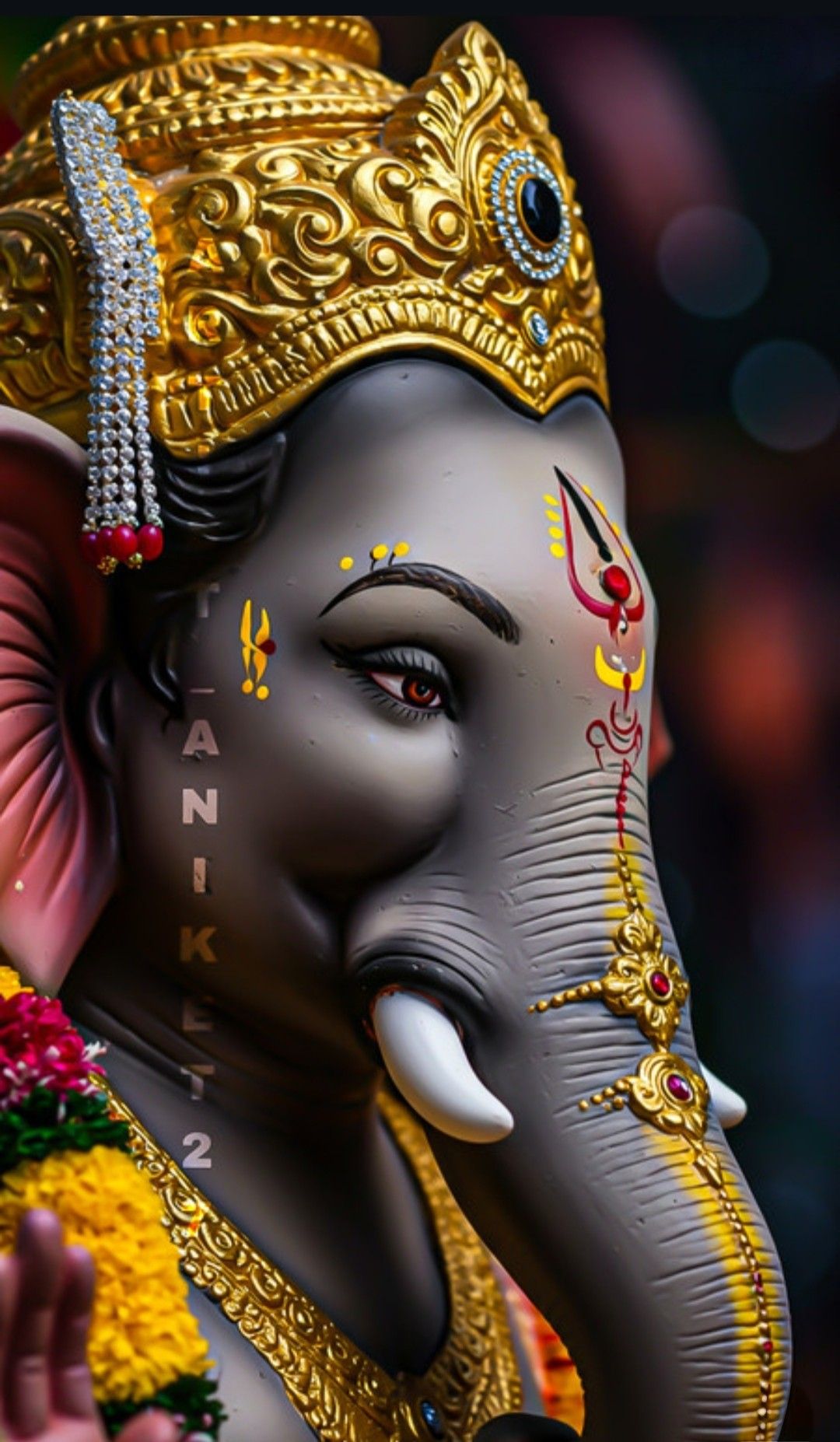 Close-up of Lord Ganesha\'s face.