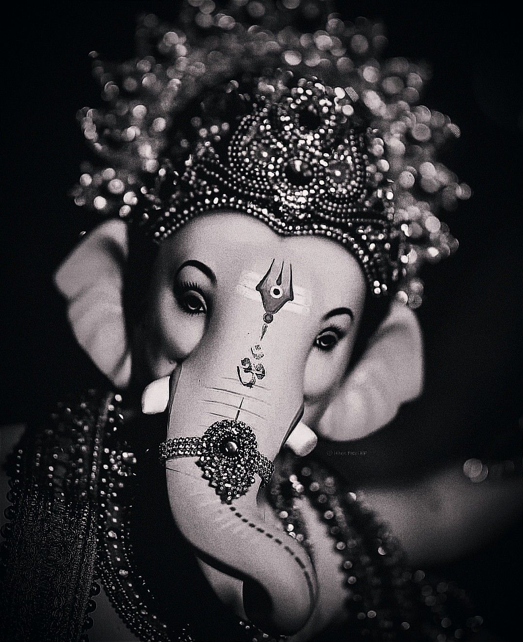 Detailed portrait of Lord Ganesha in grayscale