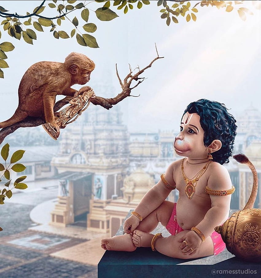 Baby Hanuman with a monkey friend.