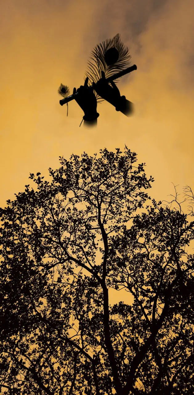 Krishna plays flute silhouette sunset trees