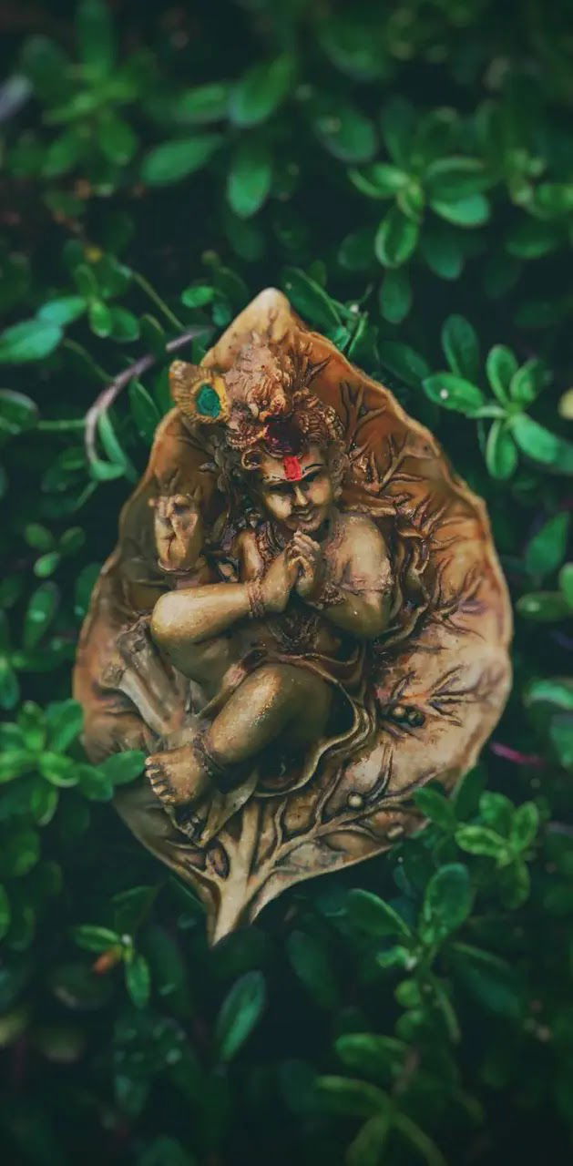 Baby Krishna resting on a leaf.