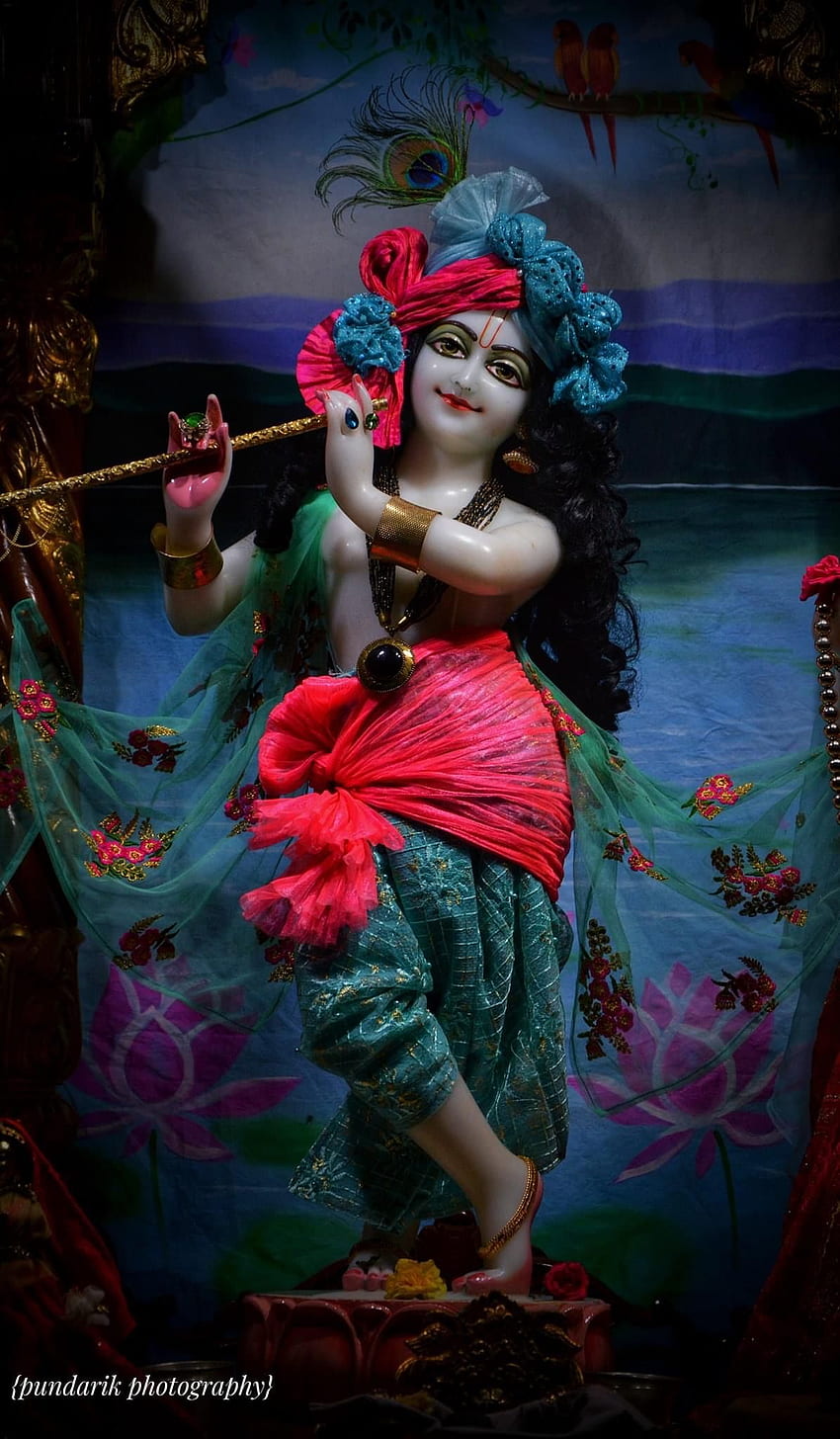 Krishna playing flute, divine wallpaper