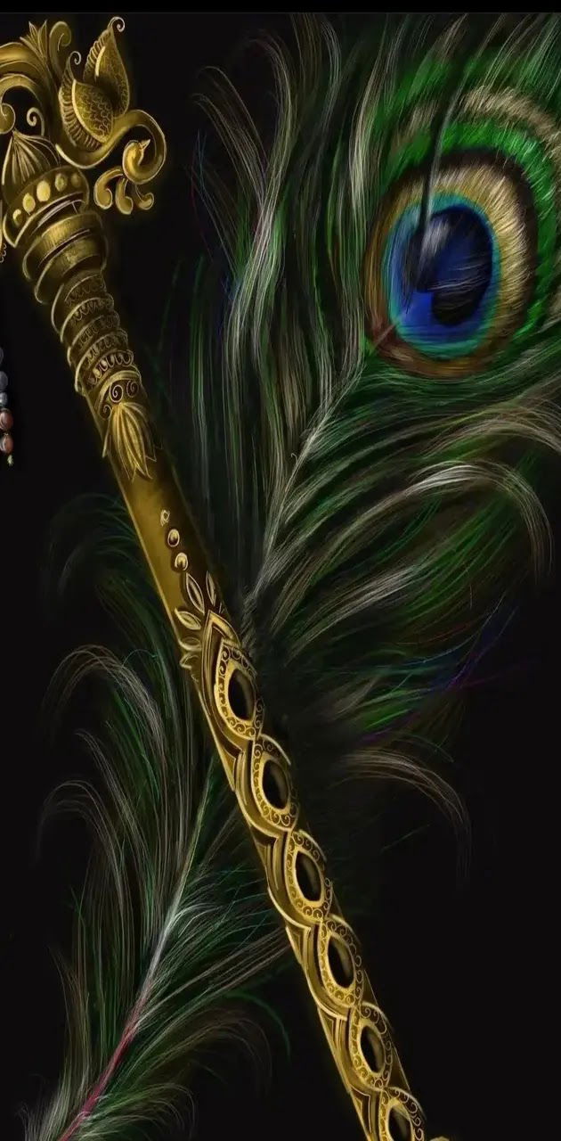 Krishna flute and peacock feather close-up