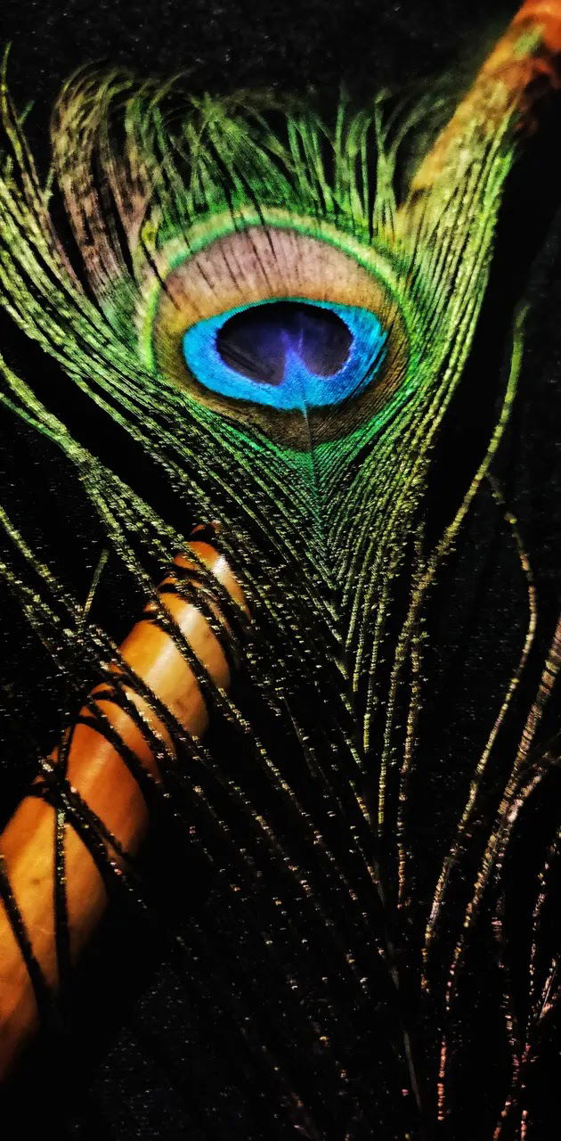 Krishna’s flute and peacock feather