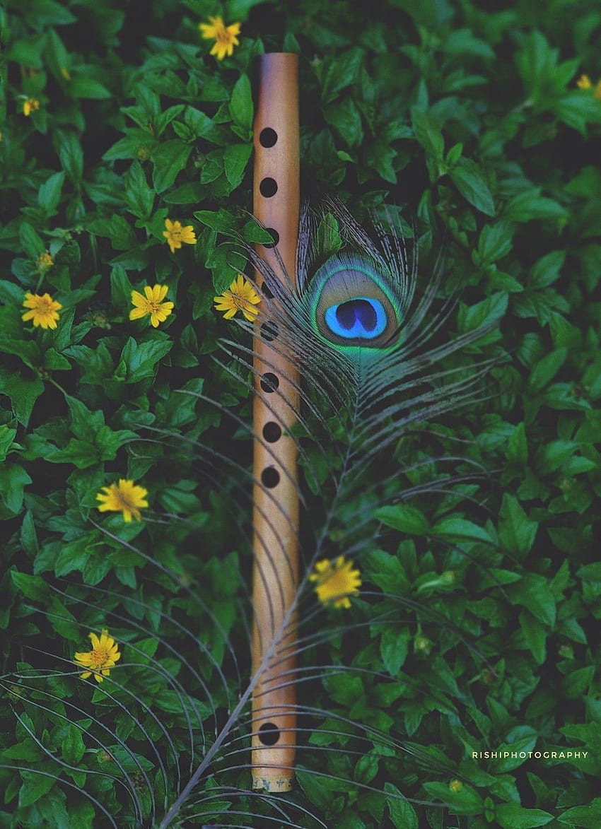 Krishna\'s flute and peacock feather rest.