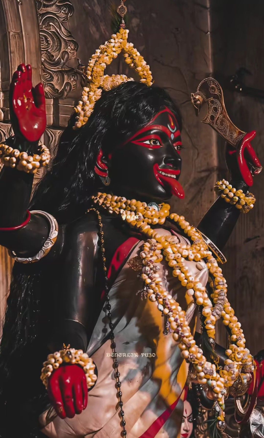 Maa Kali\'s powerful and divine form.