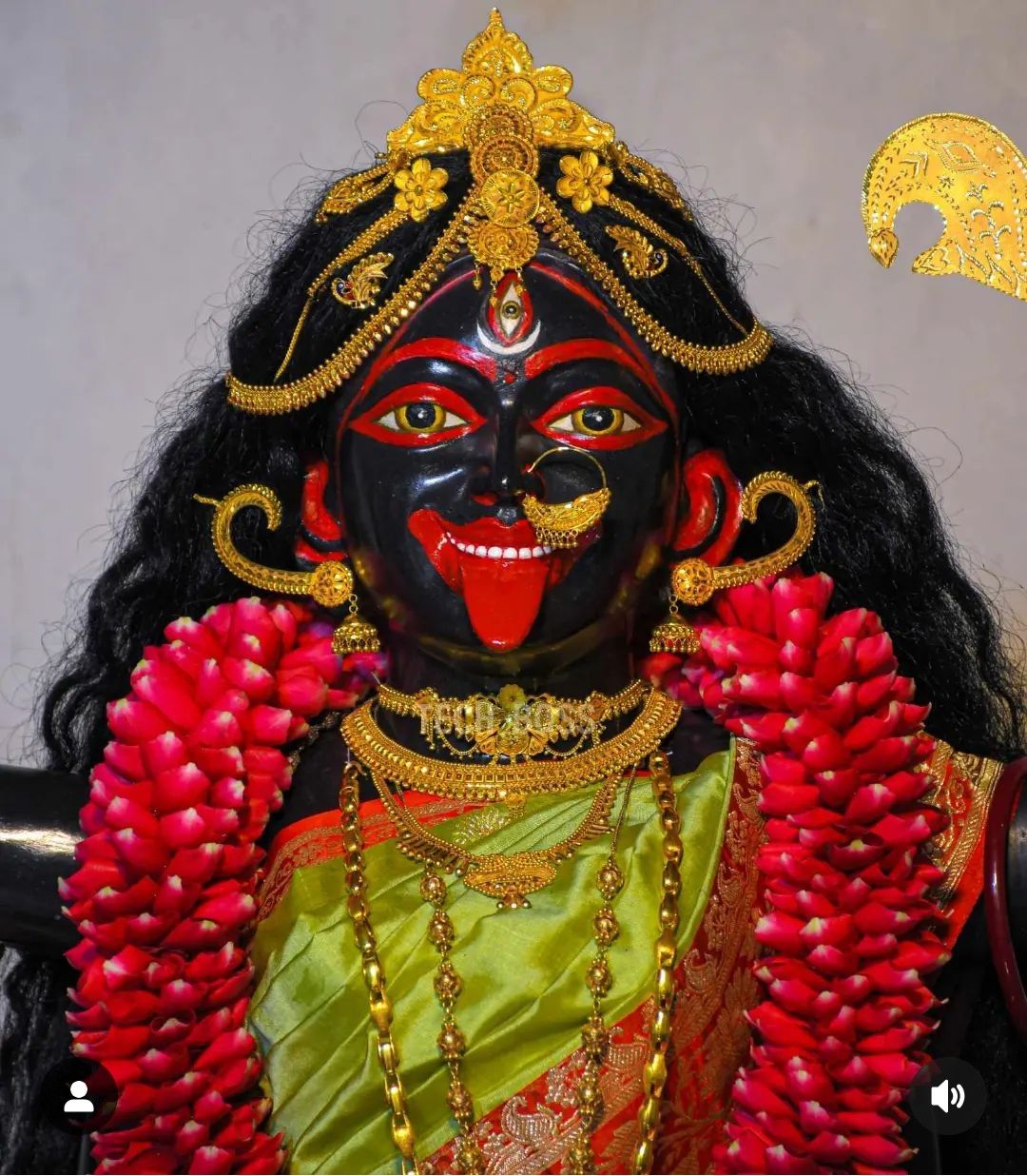 Mahakali Maa\'s powerful, fierce gaze.