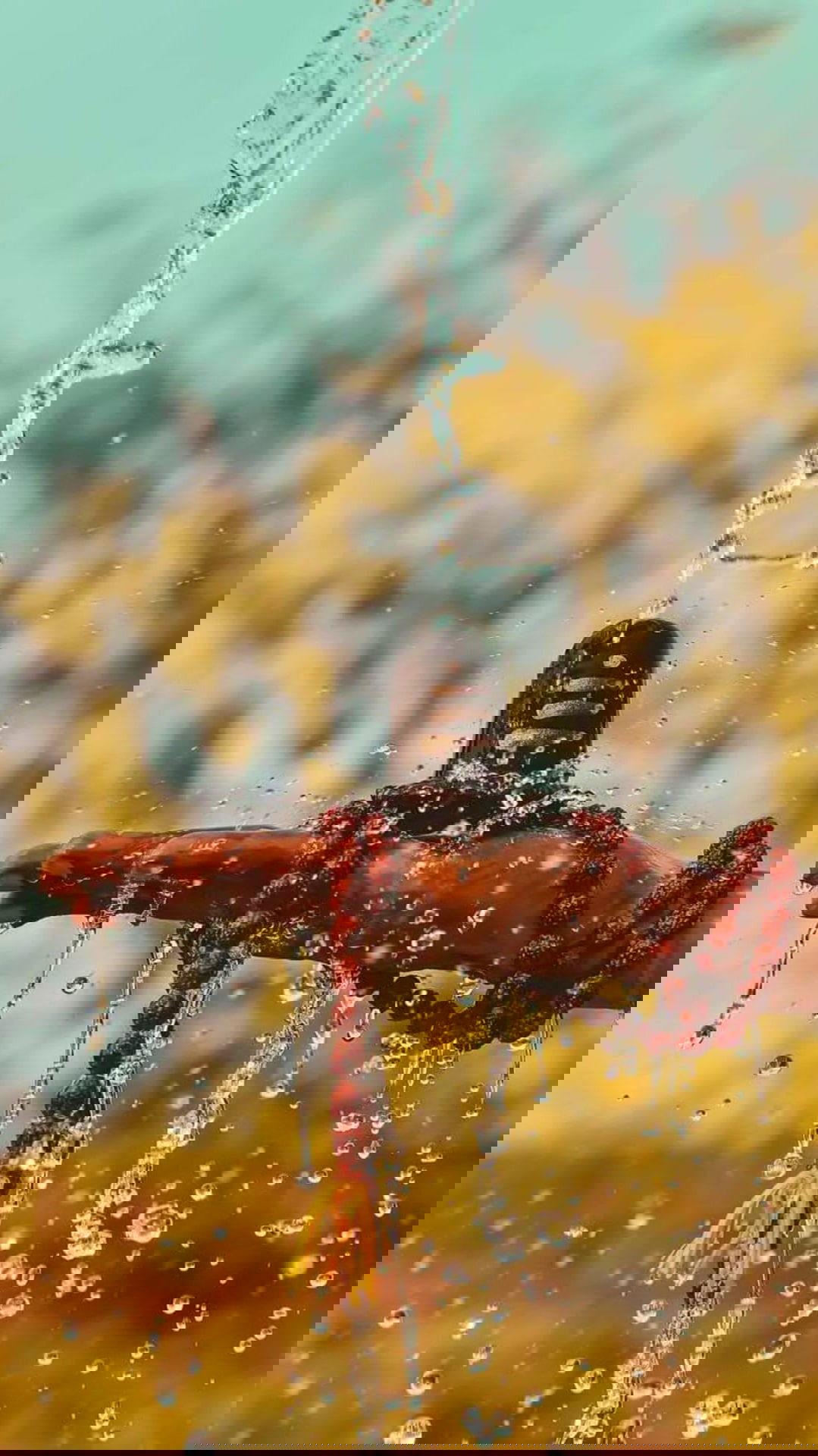 Shivling adorned with flowing water.