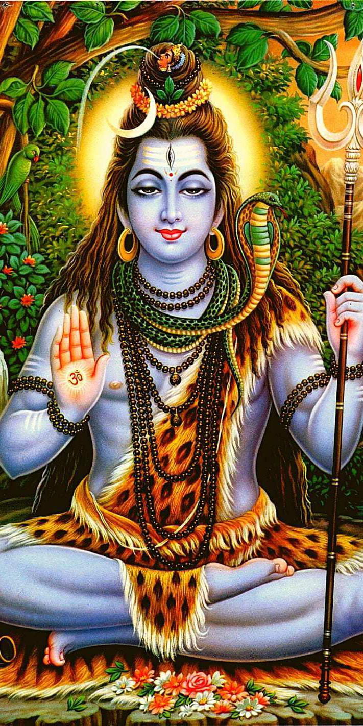 Meditating Shiva amidst a lush forest