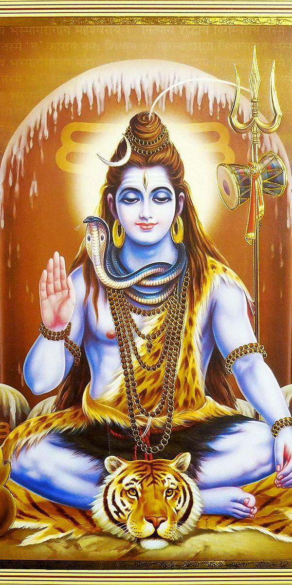 Meditating Shiva with serpent and tiger