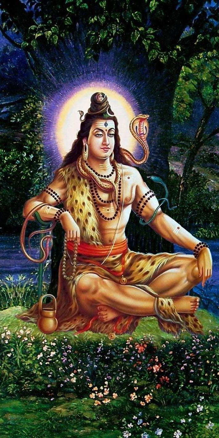 Meditating Shiva in a forest setting