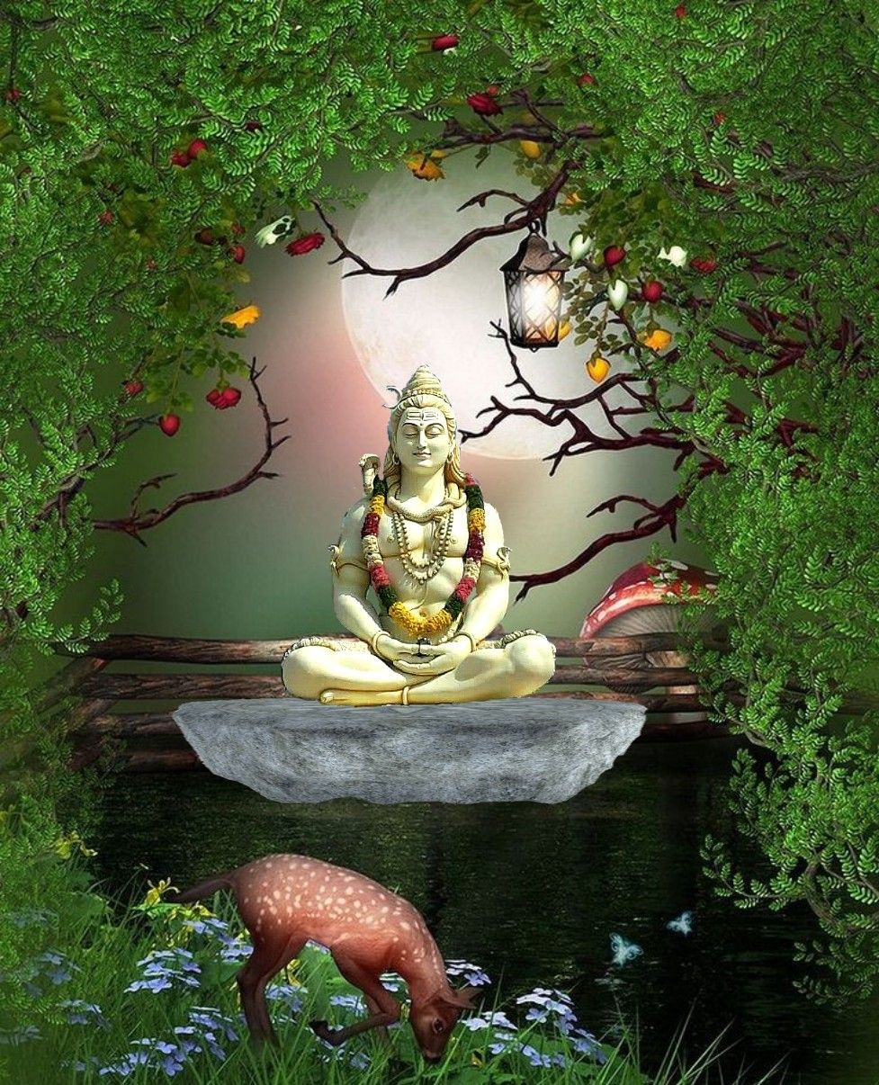 shiva meditating in lush forest