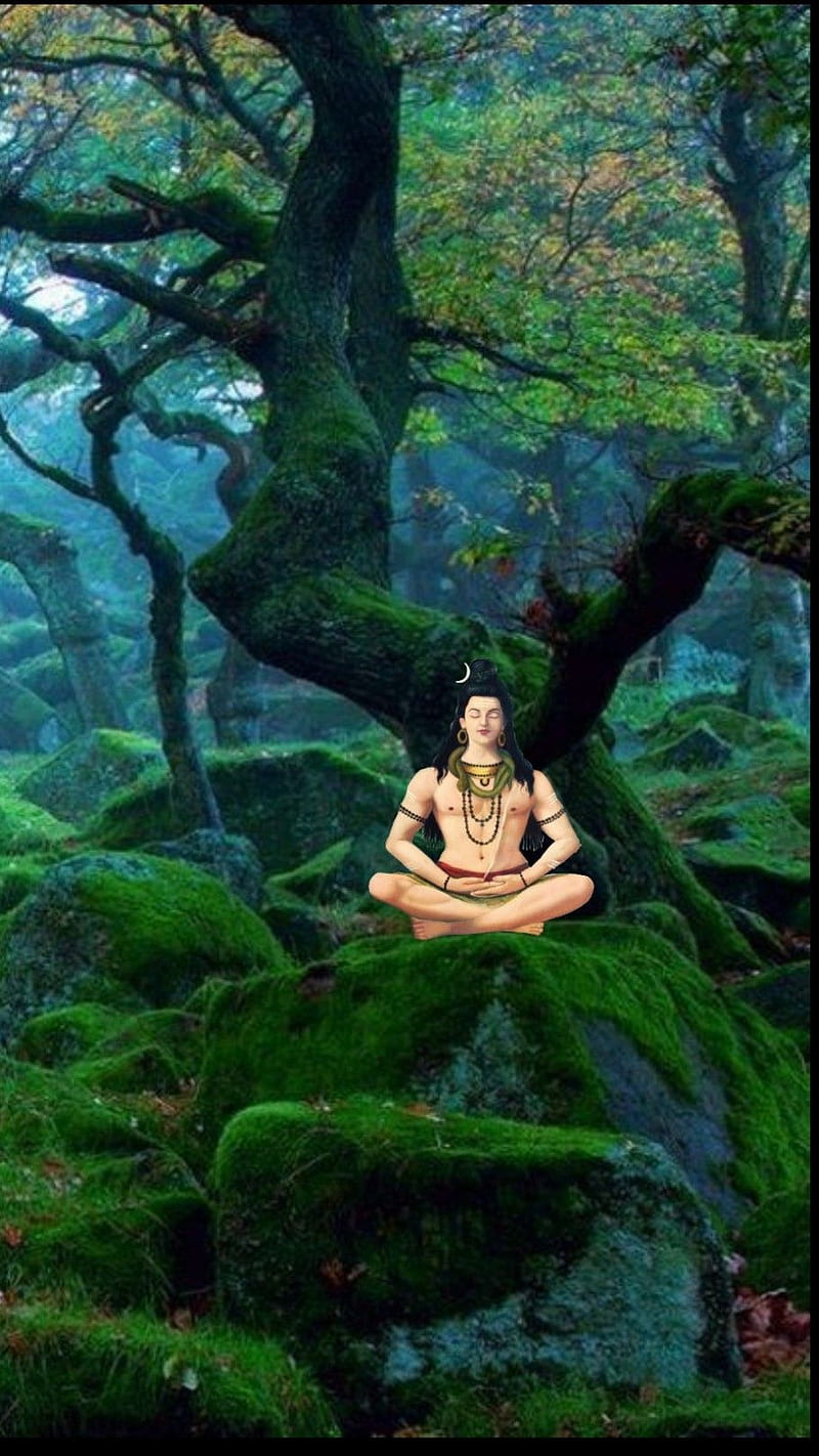 Shiva meditating in a lush forest