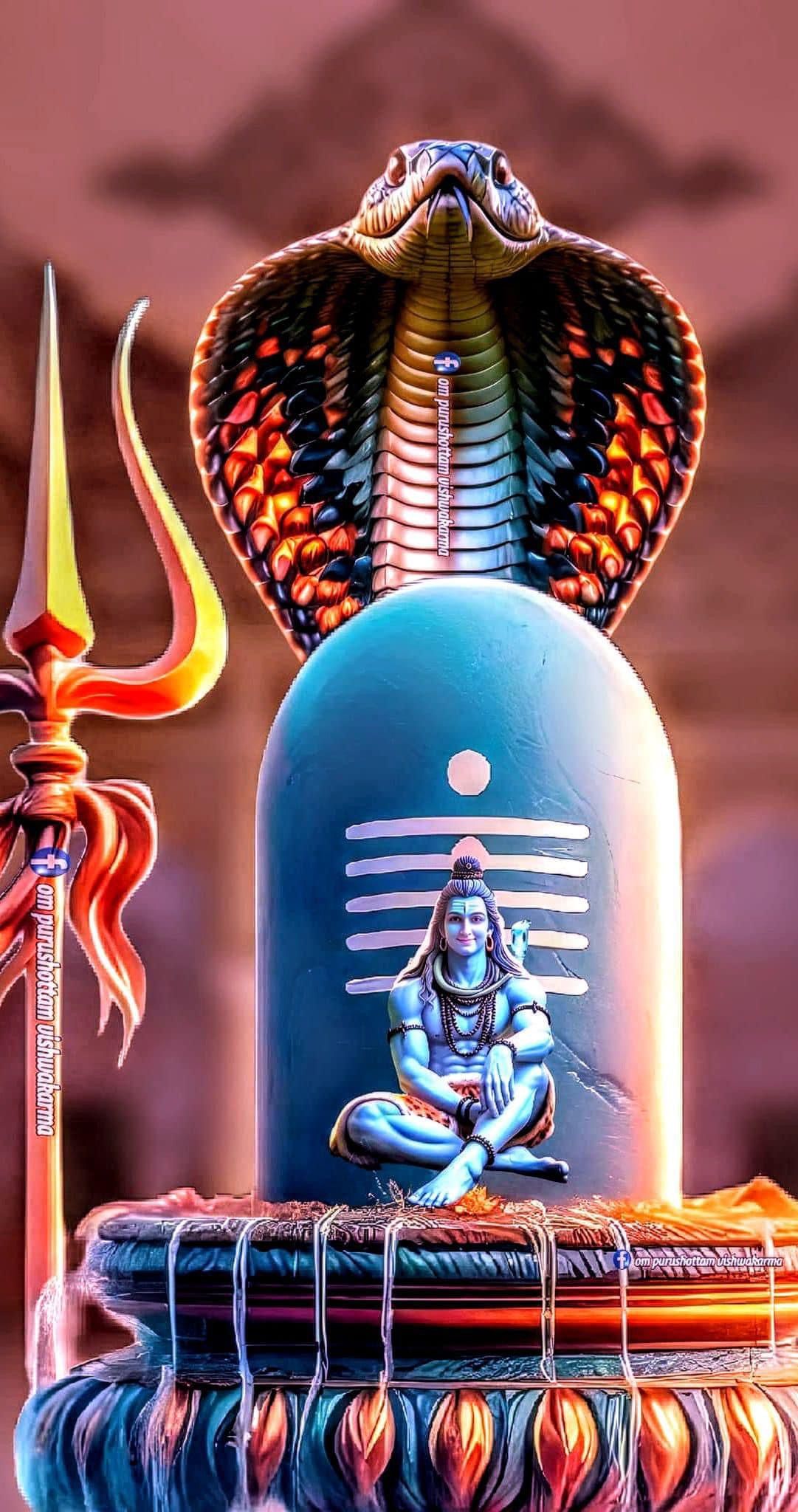 Lord Shiva meditating with serpent protection