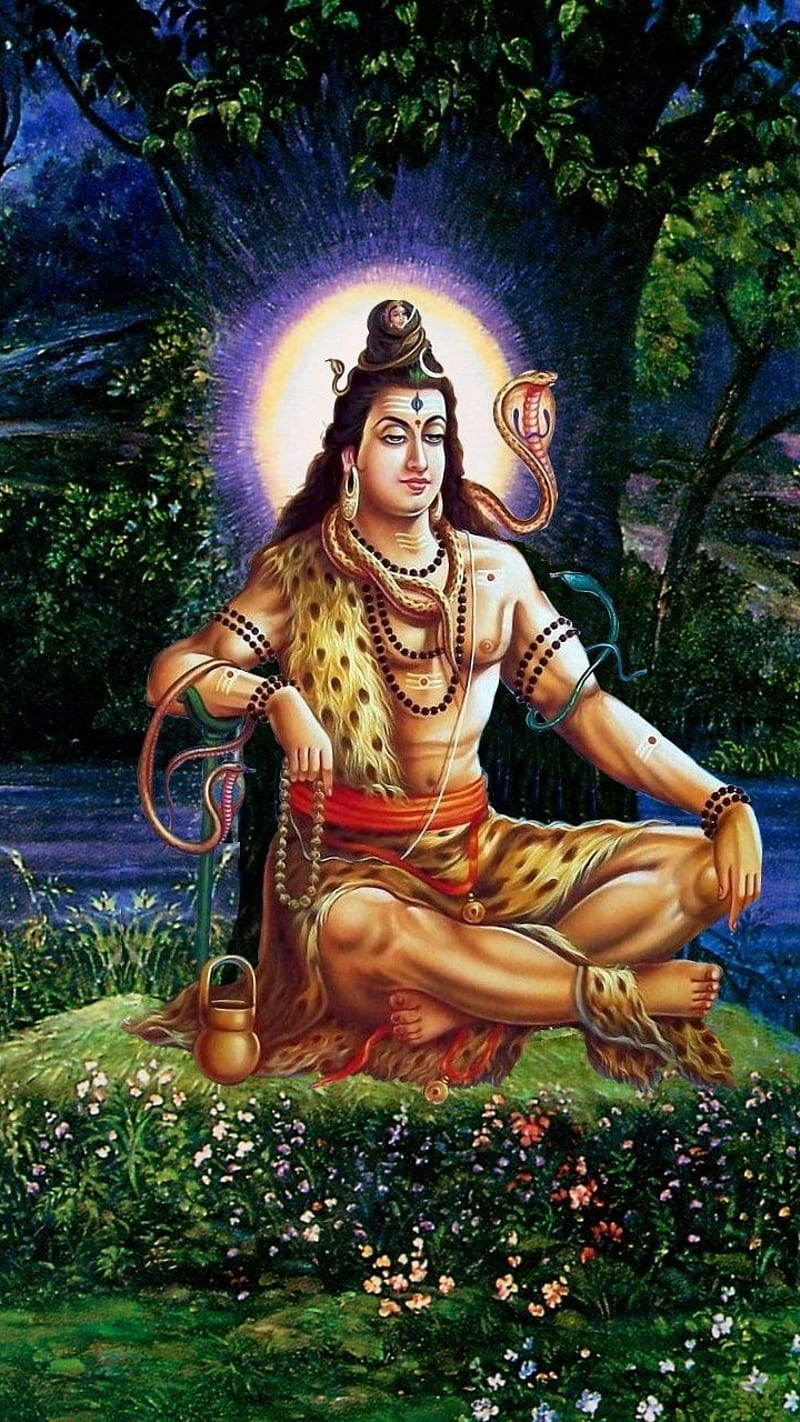 Meditating Shiva in the Himalayas