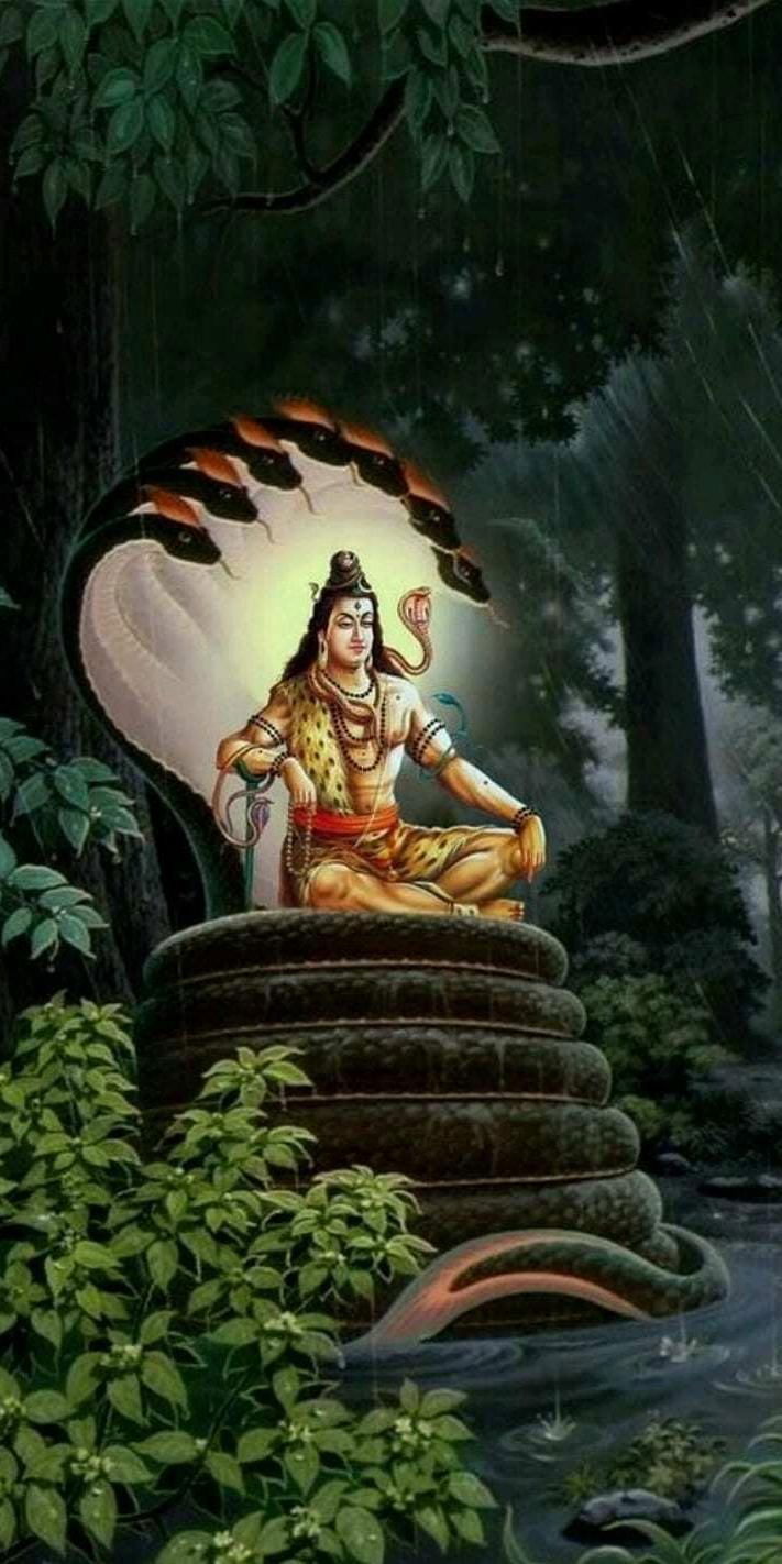 shiva meditating with serpent protection