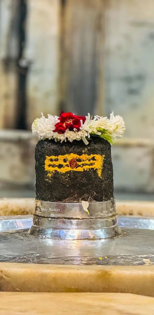 Shiva Lingam with floral offerings.