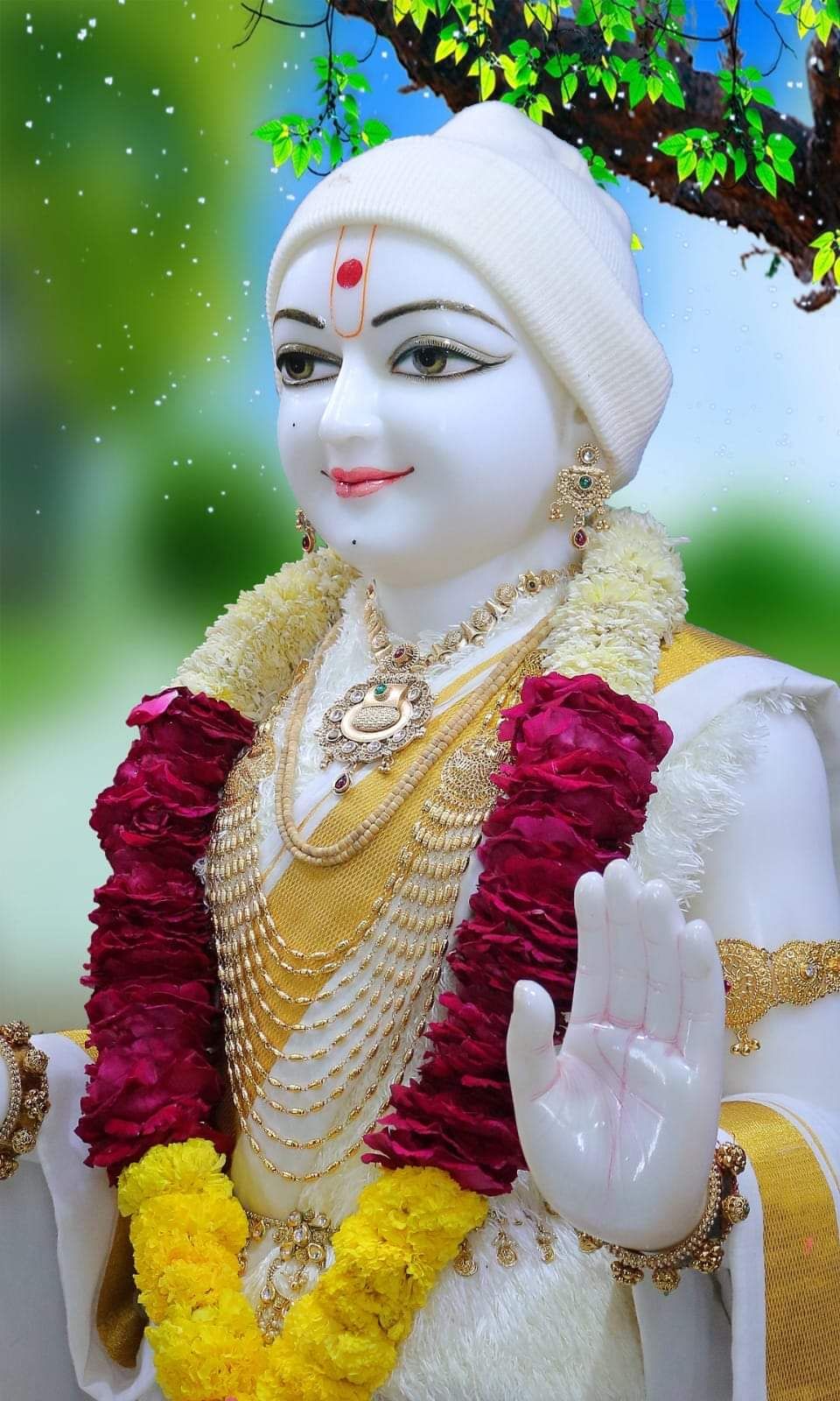 Swaminarayan Bhagwan bestows divine blessings