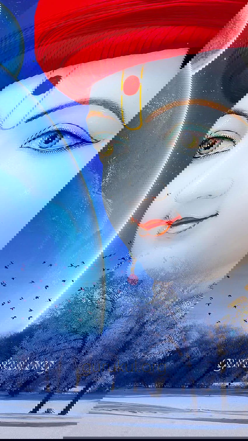 Swaminarayan amidst a cosmic landscape