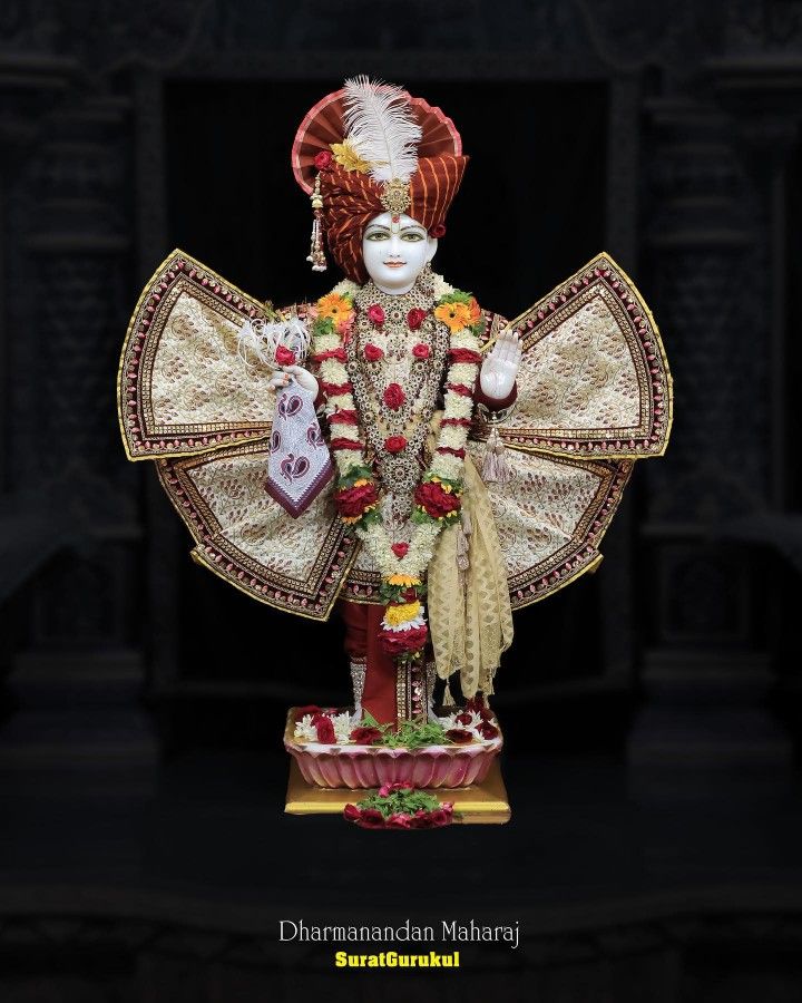 Swaminarayan murti, divine darshan, peaceful blessing