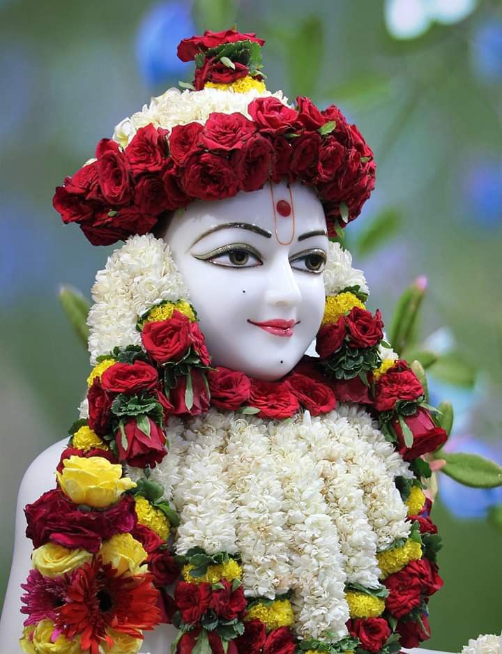 Swaminarayan adorned with flower garland