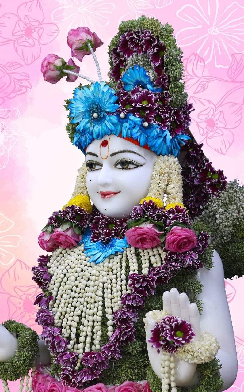 Swaminarayan Bhagwan with flower garland