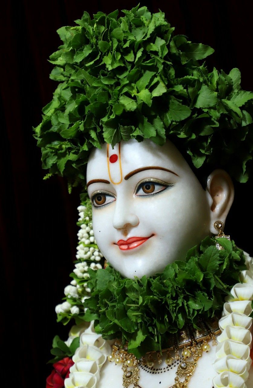 Swaminarayan with floral crown portrait